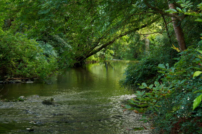 querung des guldenbachs bei langenlonsheim