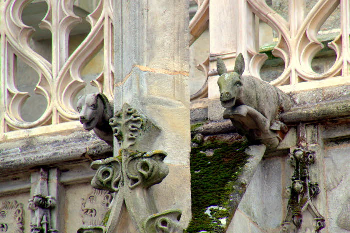 Kathedrale von Autun - Wasserspeier