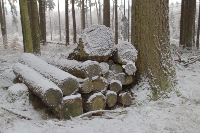 Holz fr nchstes Jahr