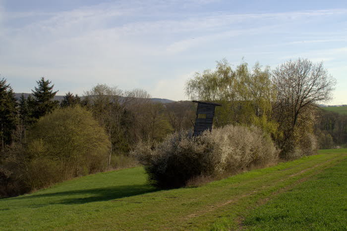 Haseninsel im Frhjahr