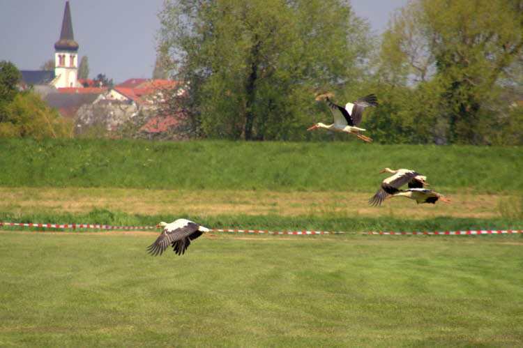 IMG_6861