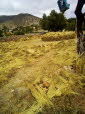 IMG-20180528-WA0005