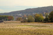 IMG_6940