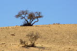 IMG_1926