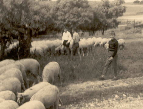 1963 Oberreifenberg mit dem Domchor